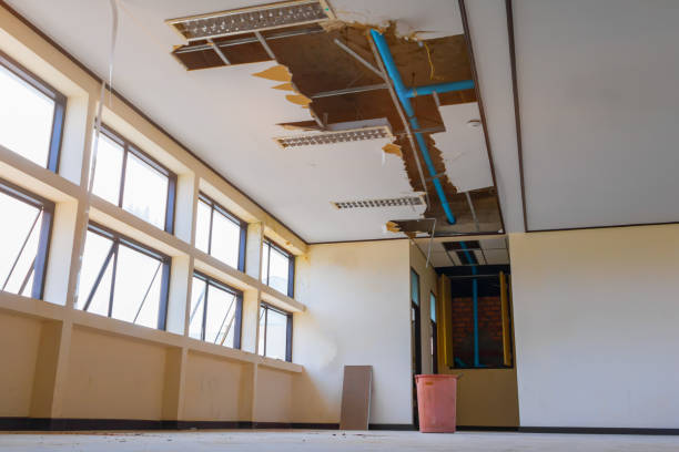 Best Mold removal after water damage  in Davis, OK