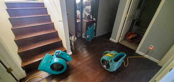 Best 24-hour water damage restoration  in Davis, OK