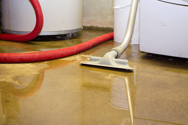 Best Commercial water damage restoration  in Davis, OK