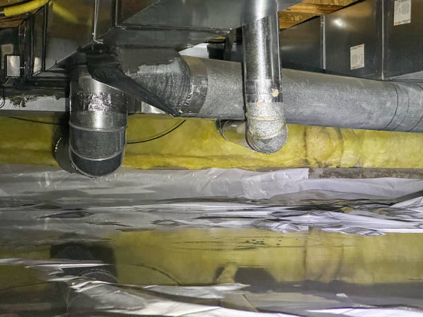Best Flood restoration services  in Davis, OK